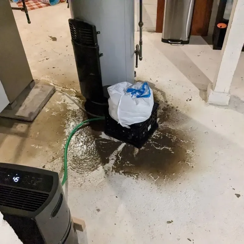 Sewage Backup Cleanup Service in Stewartstown, PA